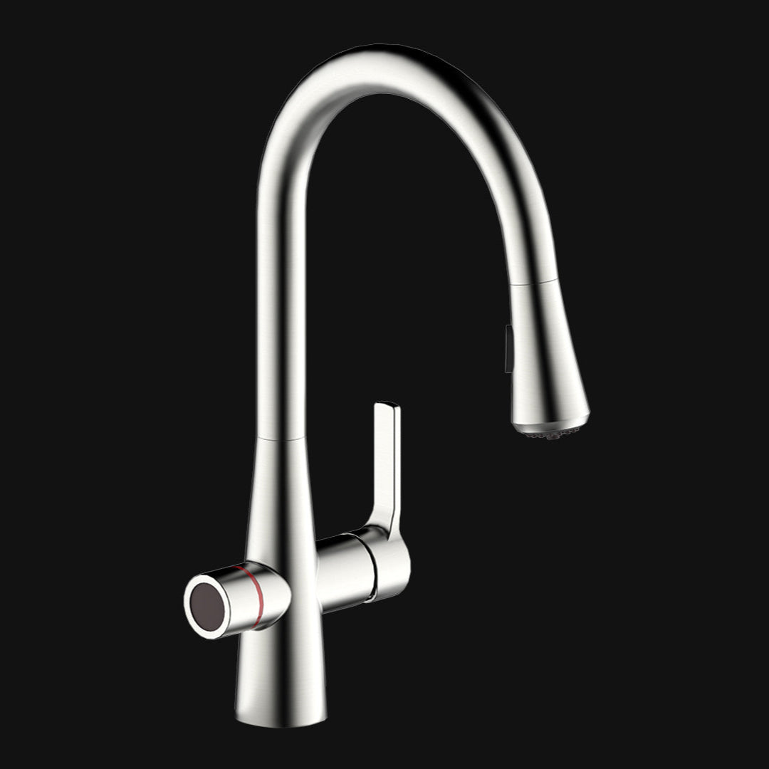 Aqualogic 4 in 1 System