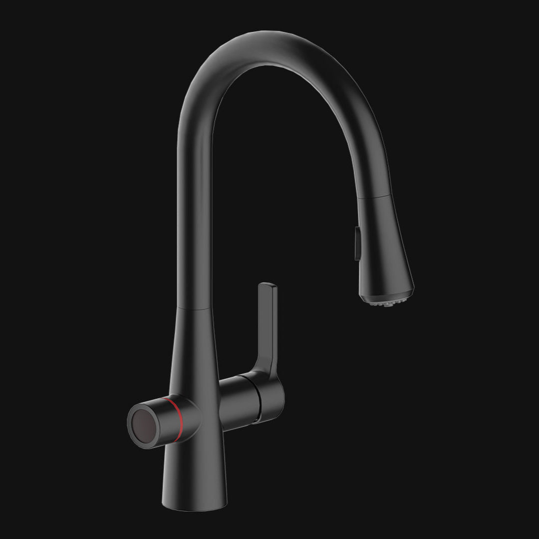 Aqualogic 4 in 1 System
