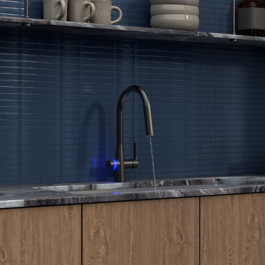Aqualogic 4 in 1 System